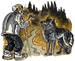 Старик и волк