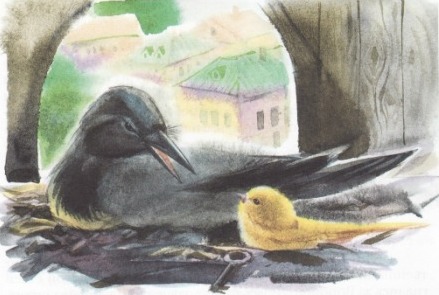 Про Воронушку-чёрную головушку и жёлтую птичку Канарейку